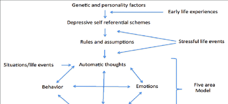 An illustration of a 5-area CBT model.
